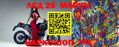 СК Камышлов