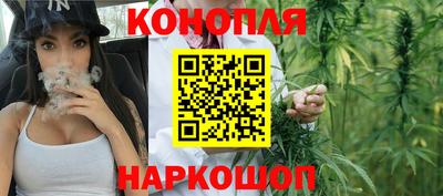 СК Камышлов
