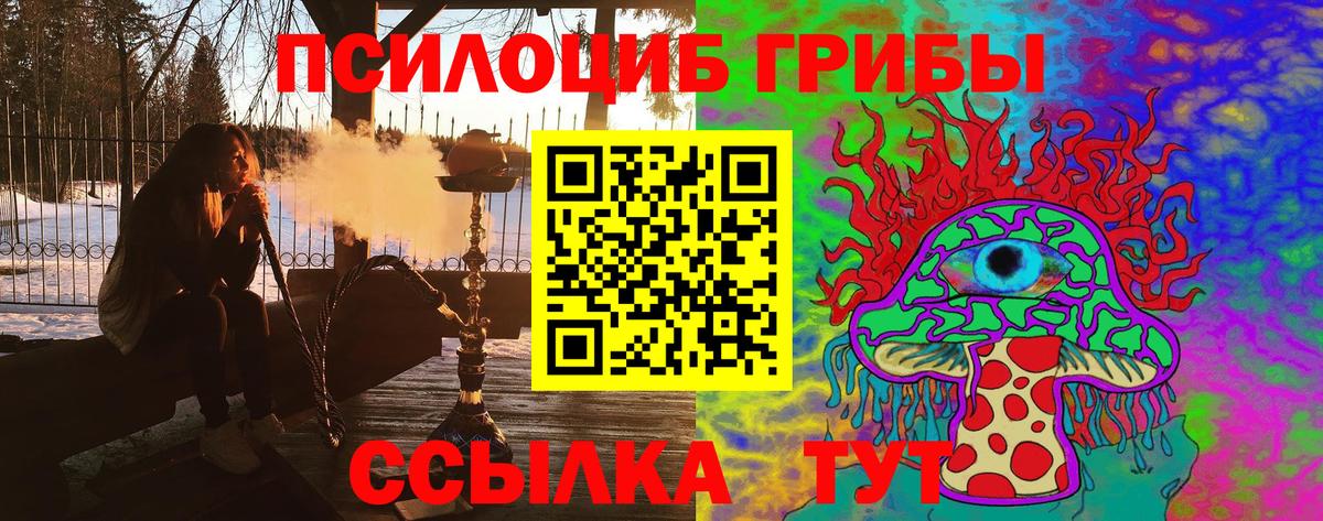 Кудымкар  Псилоцибиновые грибы прущие грибы  Вход с VPN 