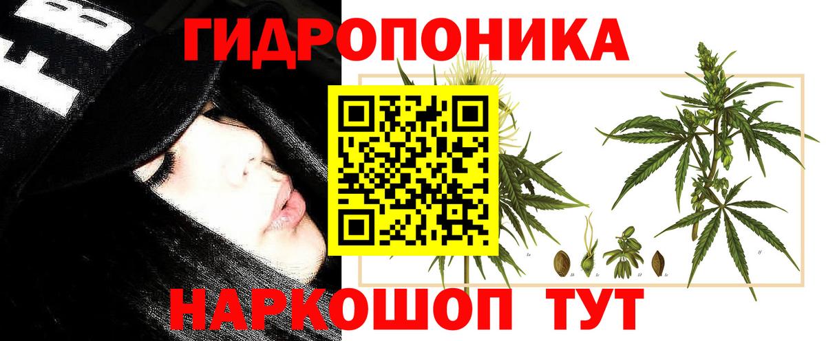 Бошки марихуана индика Кудымкар