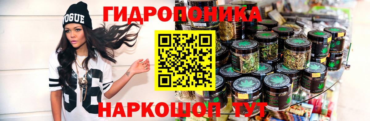 Шишки марихуана семена  Бошки марихуана VHQ  Кудымкар  Бошки марихуана OG Kush  Марихуана индика  Вход с VPN 